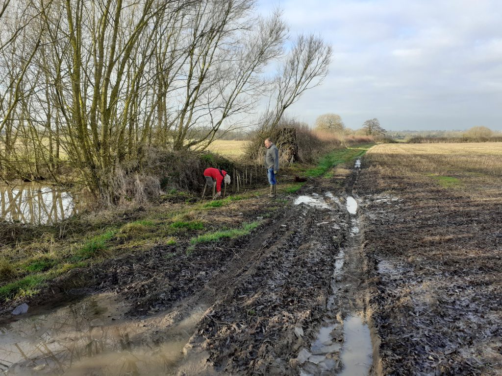 Volunteers planting trees at Hawkswell Farm