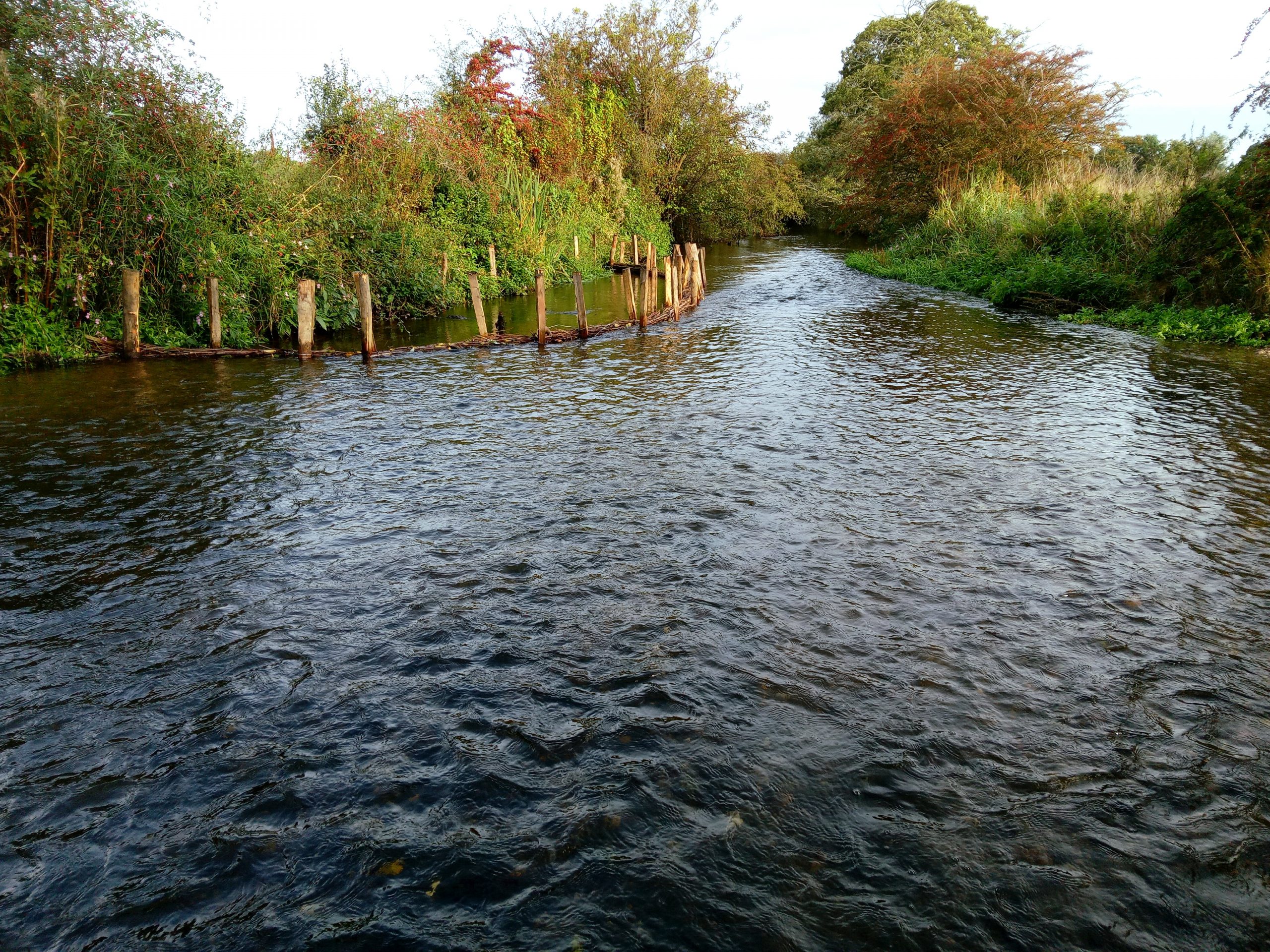 Fence posts along river Blythe bank